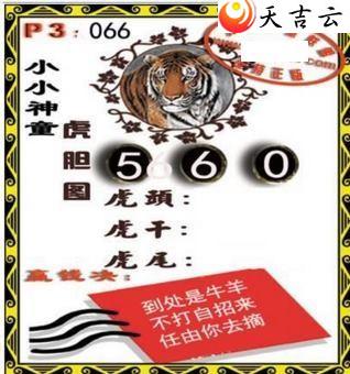 22066��СС��ͯ����ͼ��1