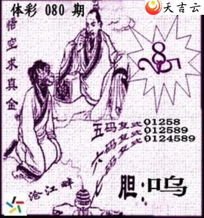 22080�ڲ�ǲ׽�ͼ��2