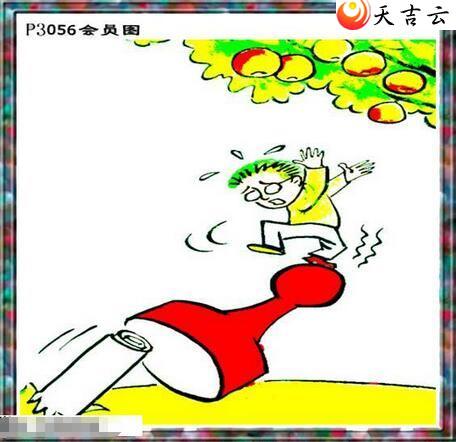 ������22056����������ͼ��2