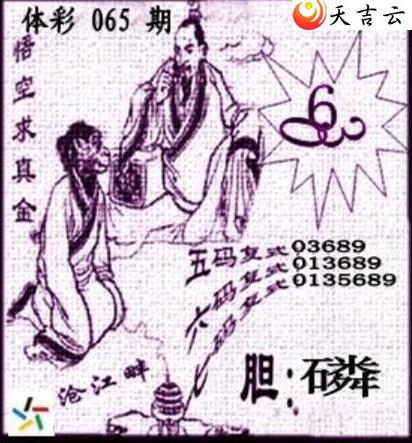 22065�ڲ�ǲ׽�ͼ��2