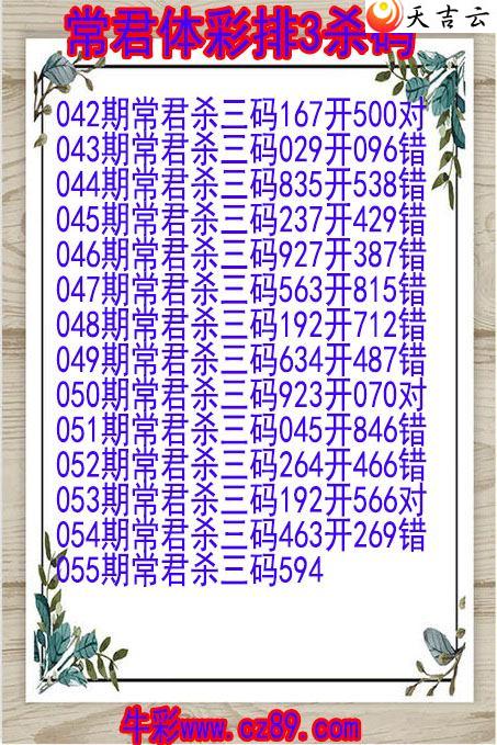 22055�ڳ�����ɱ��ͼ��1