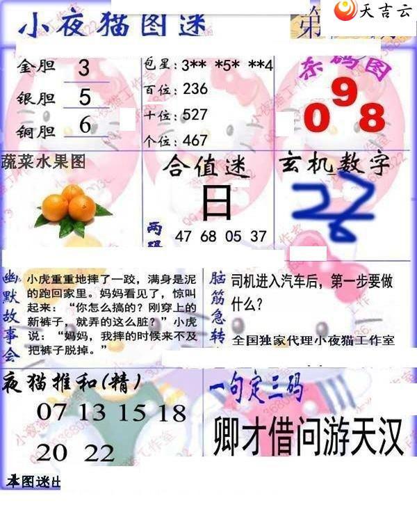 ����3d22119��Сҹè�챨ͼ��1