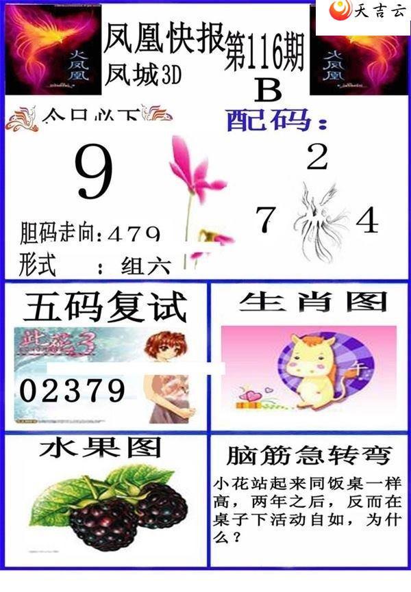 116�ڷ�˿챨ͼ��1