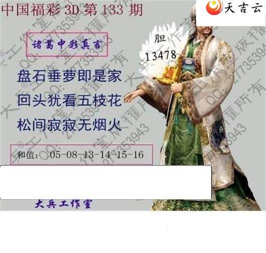 ����3d22133�ڴ��ȫ��ͼ��2