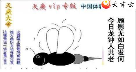 ����22141��������ͼ��1