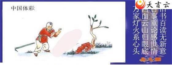 ����22136������ͼ��1