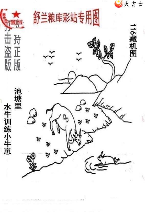 22116����峤����ͼ��2