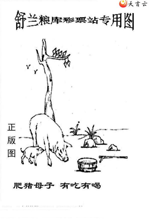 22116����峤����ͼ��1