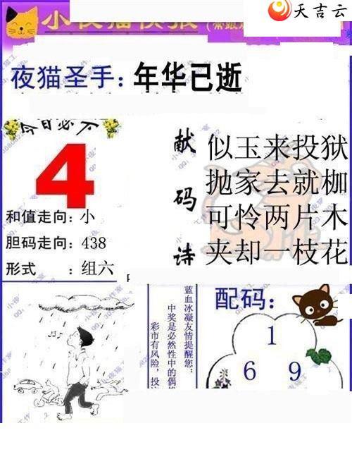 ����3d22140��Сҹè�챨ͼ��2