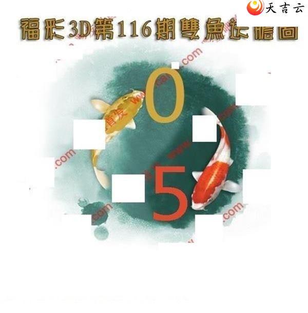 116��˫���͵�ͼ��1