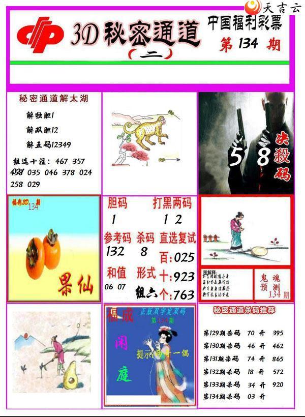 3d134������ͨ��ͼ��2