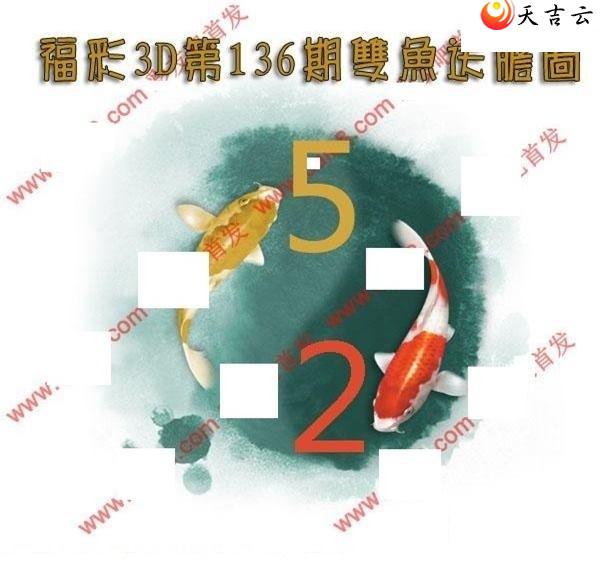 ����3d22136��˫���͵�ͼ��1