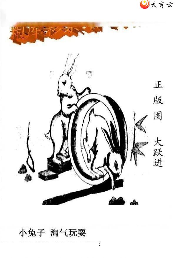 3d142����峤����ͼ��2