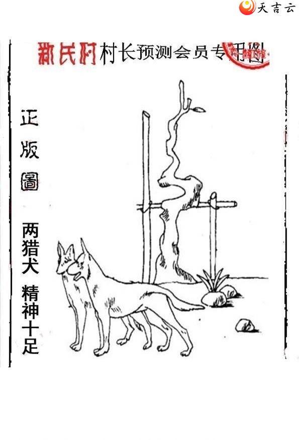 ����3d22138����峤����ͼ��1