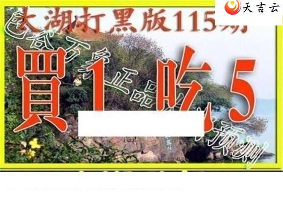 22115��̫����Ʒͼ��1