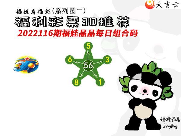 ����3d22116�ڰ��۷�ʦȫͼ��2