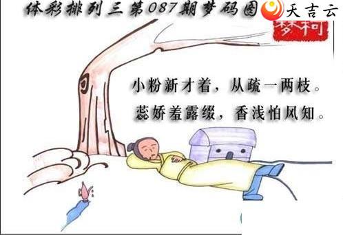 ������22087������ͼ��1