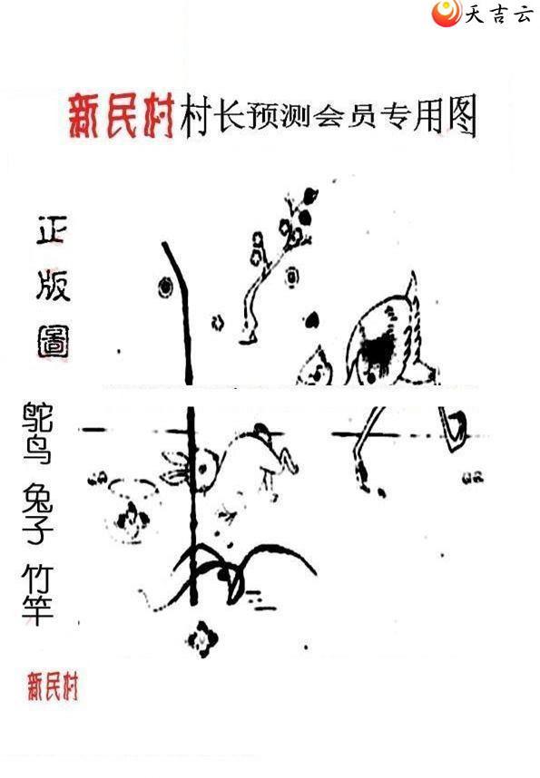 ����3d22093����峤����ͼ��2