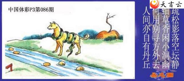 ������22086������ͼ��1