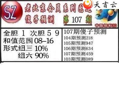 3d107��ר��˵��ͼ��2