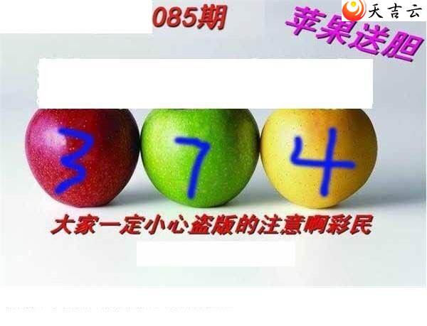 ����3d22085��ר��˵��ͼ��2