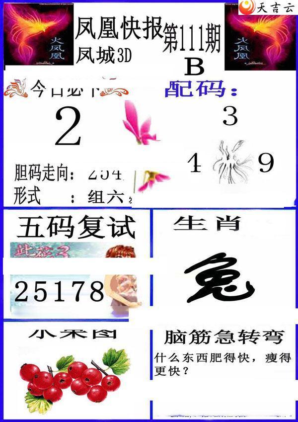 3d22111�ڷ�˿챨ͼ��2