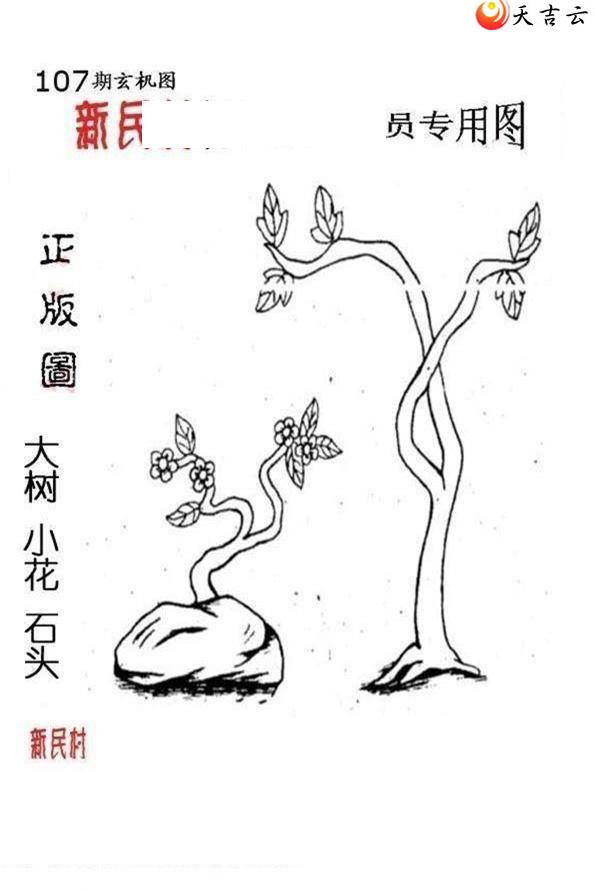 ����3d22107����峤����ͼ��2