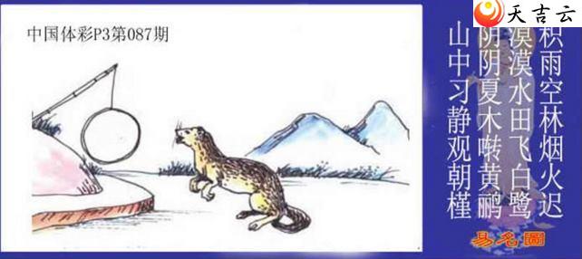 087������ͼ��1