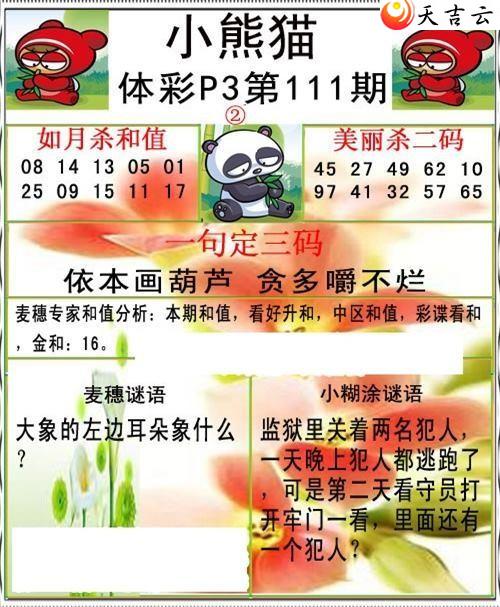 111��С��èͼ��2