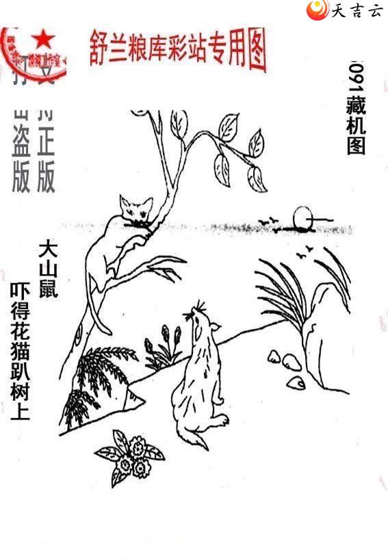 3d22091����峤����ͼ��1