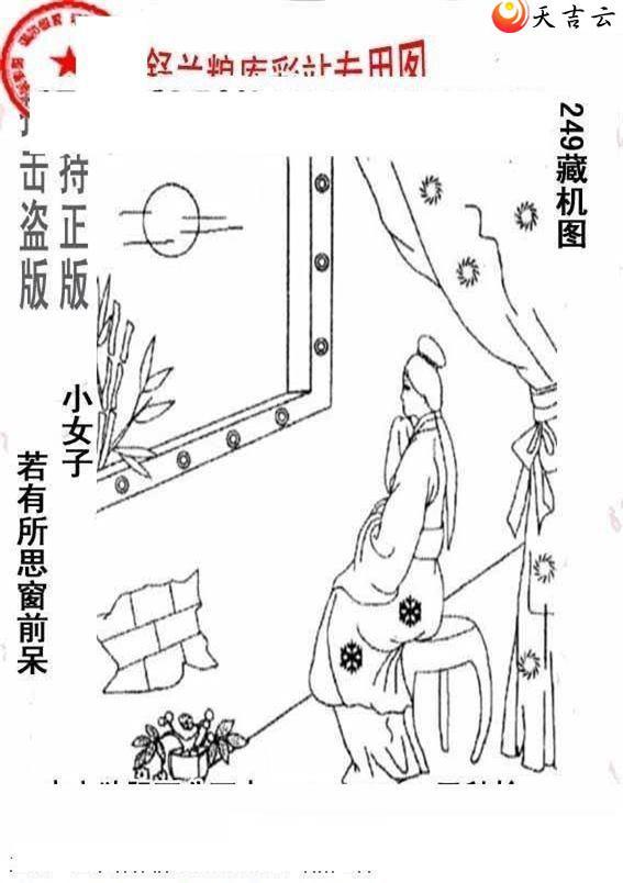 ����3d22249����峤����ͼ��2