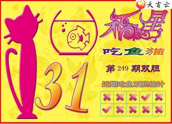 22249�ڸ��ǳ���èͼ��2