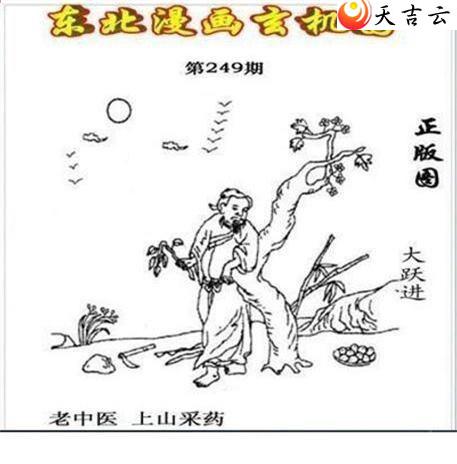 3d249�ڶ�����������ͼ��2