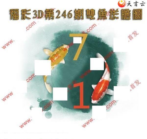 3d246˫͵ͼ2