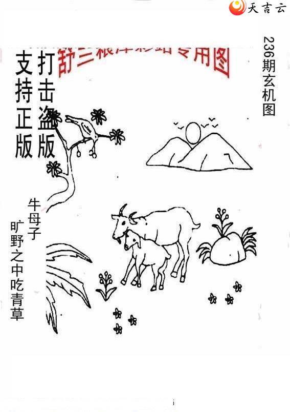 22236����峤����ͼ��1