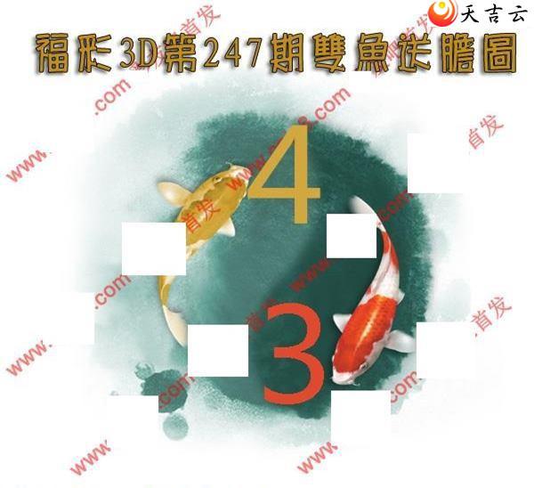3d247˫͵ͼ2