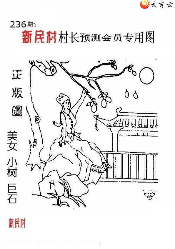 22236����峤����ͼ��2