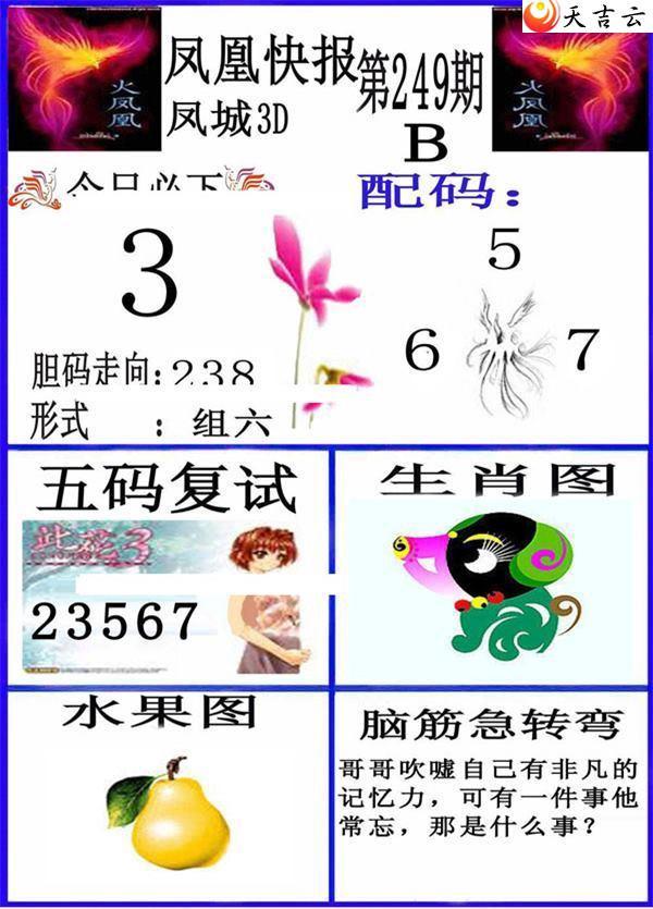 3d249�ڷ�˿챨ͼ��2