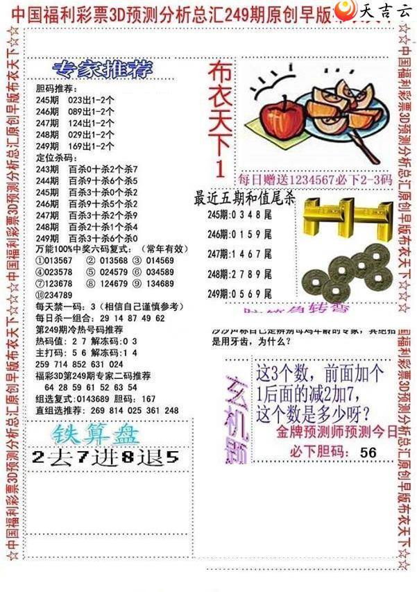 249����沼��ͼ��2