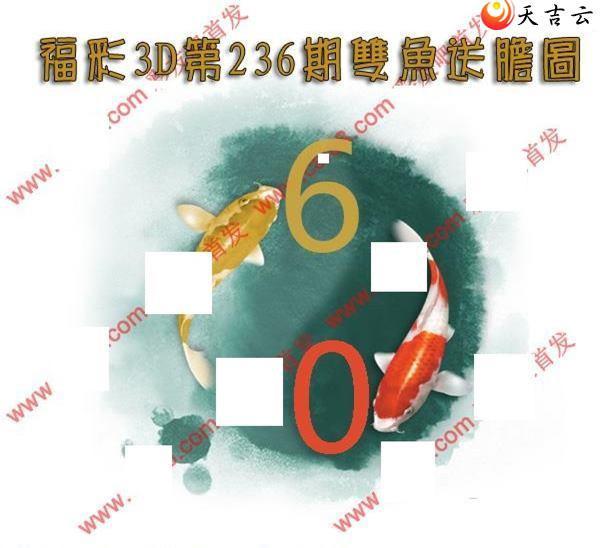 236��˫���͵�ͼ��1