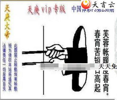 236期天庚大帝图谜2