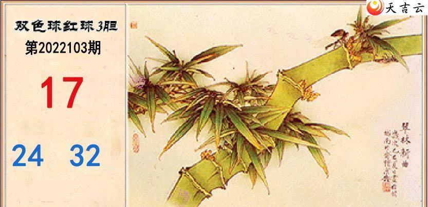 ˫ɫ��22103�ڴ����������ͼ��2