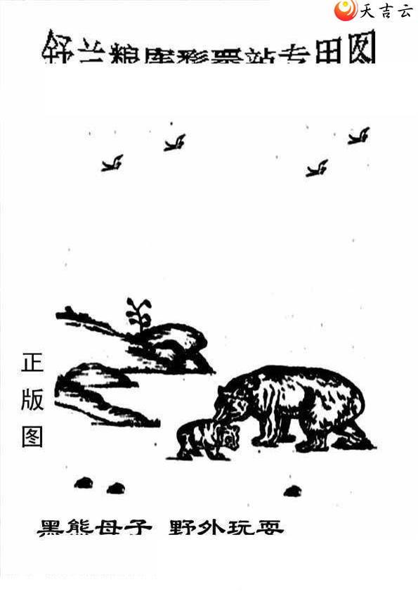 ����3d22239����峤����ͼ��3