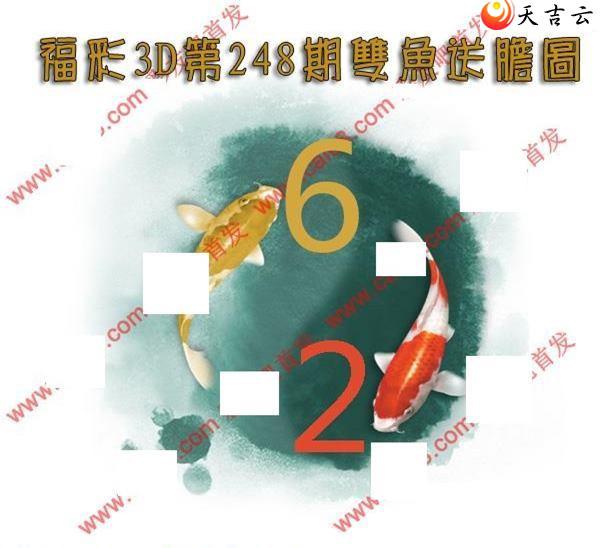 3d22248˫͵ͼ2