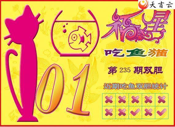 22235�ڸ��ǳ���èͼ��2