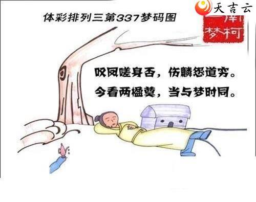 ������21337������ͼ��1