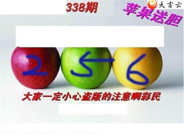 3d338��ר��˵��ͼ��3