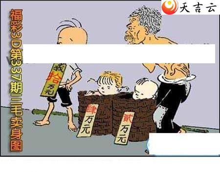 21337����ë����ͼ��1