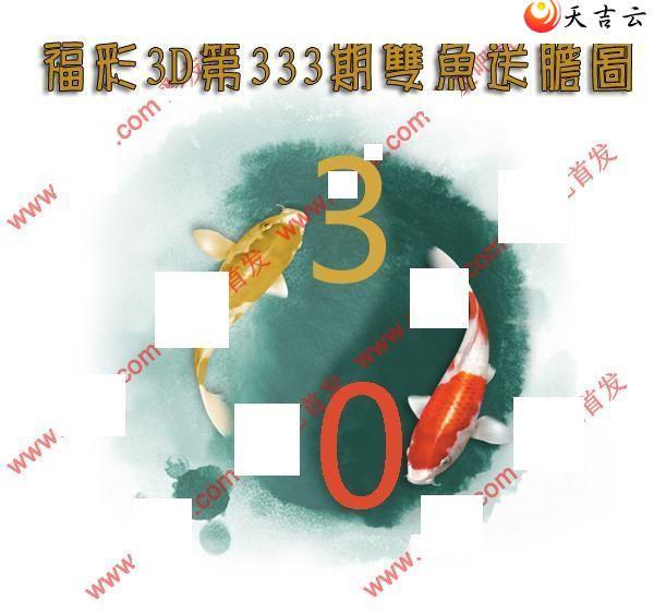 21333��˫���͵�ͼ��1