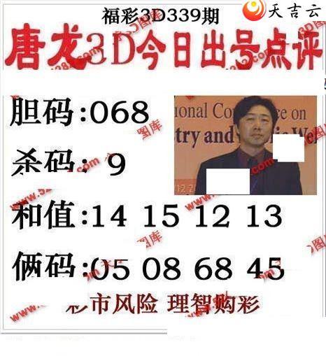 3d339����������ͼ��1